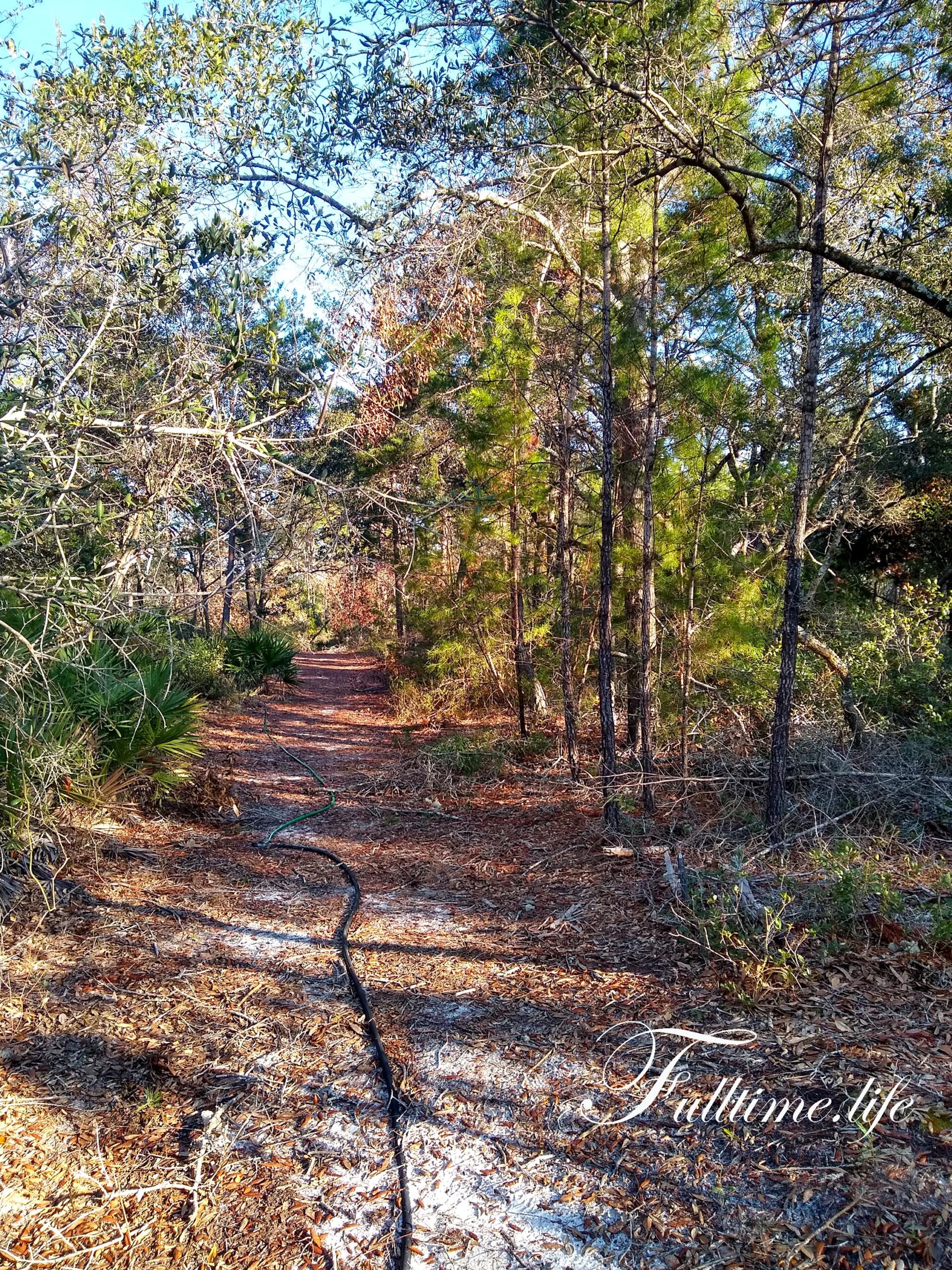 IMG_20201221_150054485_HDR