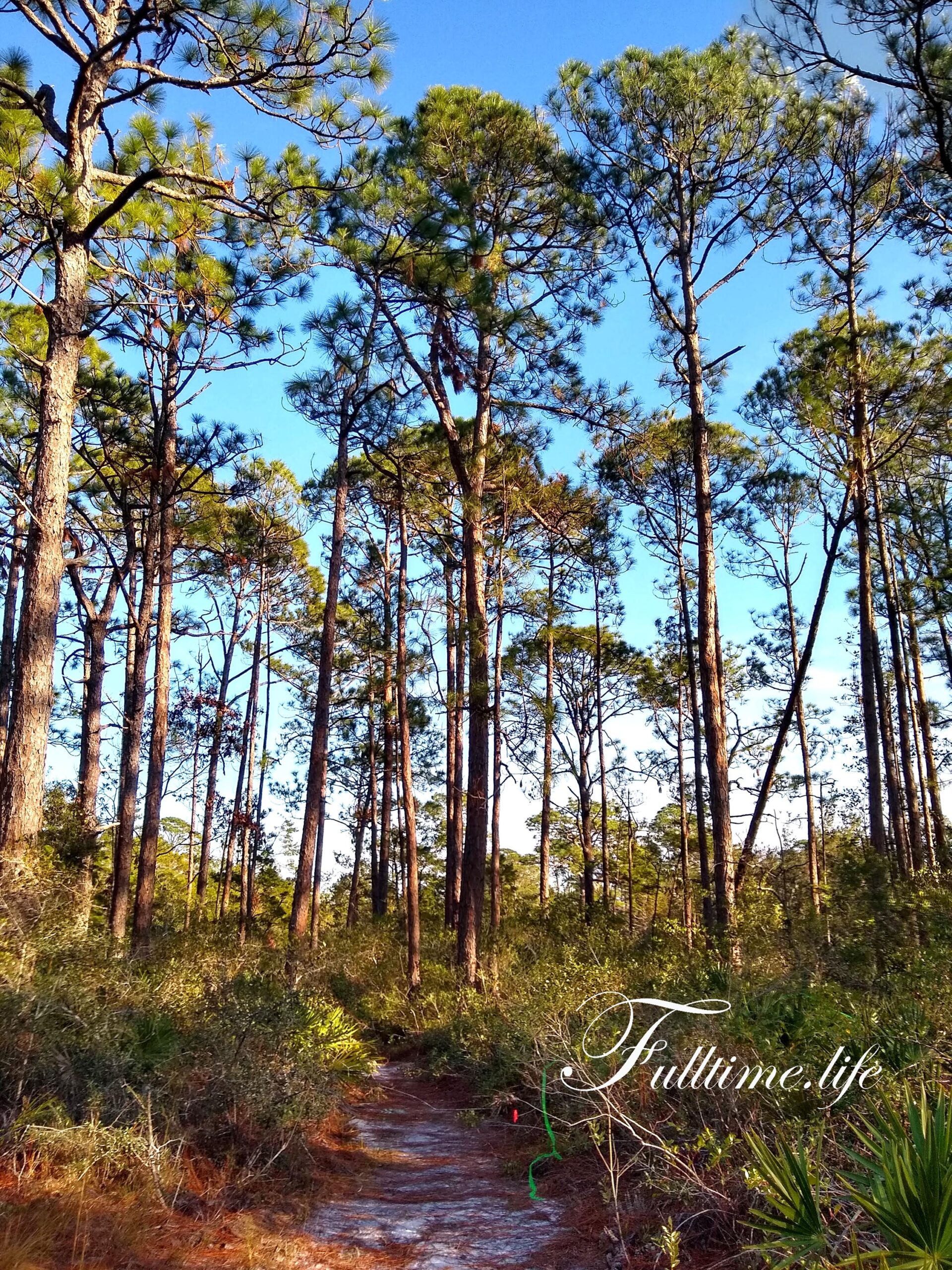 IMG_20201221_150436548_HDR
